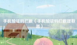 手机验证码拦截（手机验证码拦截提取器）