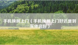 手机换屏上门（手机换屏上门好还是到实体店好）