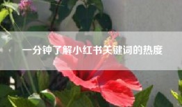 一分钟了解小红书关键词的热度
