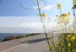 it行业是指什么意思