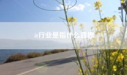 it行业是指什么意思