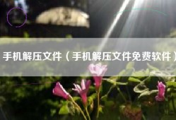 手机解压文件（手机解压文件免费软件）