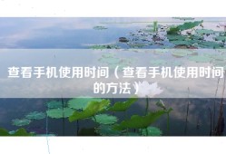 查看手机使用时间（查看手机使用时间的方法）