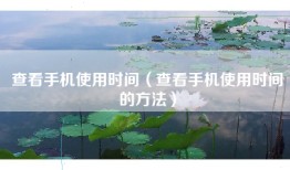 查看手机使用时间（查看手机使用时间的方法）