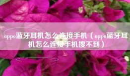 oppo蓝牙耳机怎么连接手机（oppo蓝牙耳机怎么连接手机搜不到）