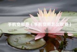 手机宽带费（手机宽带怎么收费）