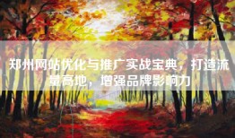 郑州网站优化与推广实战宝典，打造流量高地，增强品牌影响力