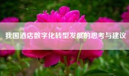 我国酒店数字化转型发展的思考与建议