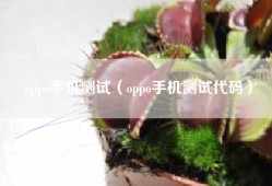 oppo手机测试（oppo手机测试代码）