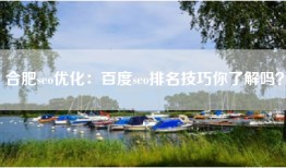 合肥seo优化：百度seo排名技巧你了解吗？