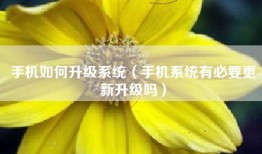 手机如何升级系统（手机系统有必要更新升级吗）