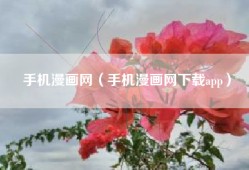手机漫画网（手机漫画网下载app）