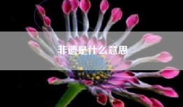 非遗是什么意思