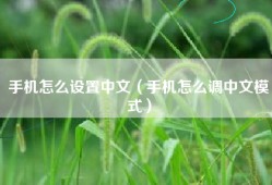手机怎么设置中文（手机怎么调中文模式）