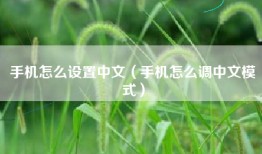 手机怎么设置中文（手机怎么调中文模式）