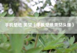 手机壁纸 美女（手机壁纸美女头像）