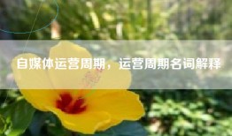 自媒体运营周期，运营周期名词解释