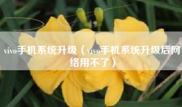 vivo手机系统升级（vivo手机系统升级后网络用不了）
