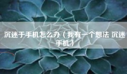 沉迷于手机怎么办（我有一个想法 沉迷手机）