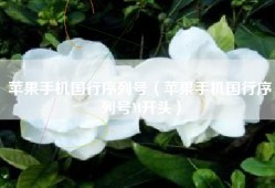 苹果手机国行序列号（苹果手机国行序列号M开头）