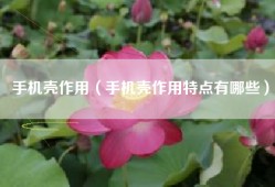 手机壳作用（手机壳作用特点有哪些）