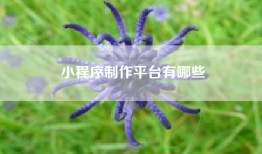 小程序制作平台有哪些