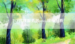 TCP代理服务器proxy程序分析