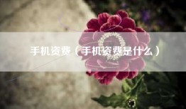 手机资费（手机资费是什么）
