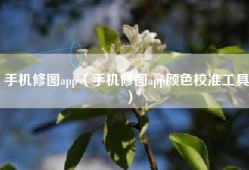 手机修图app（手机修图app颜色校准工具）