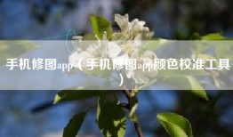 手机修图app(手机修图app颜色校准工具)