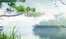 有笔的手机（带笔的智能手机）