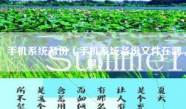 手机系统备份（手机系统备份文件在哪里）