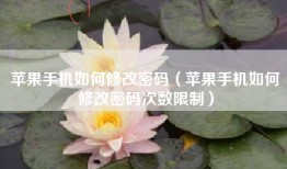 苹果手机如何修改密码（苹果手机如何修改密码次数限制）