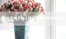 现在苹果手机（现在苹果手机有没有充电器）