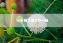 360点睛营销开放平台