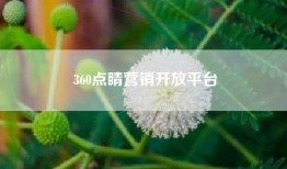 360点睛营销开放平台