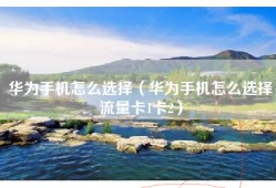 华为手机怎么选择（华为手机怎么选择流量卡1卡2）