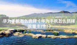 华为手机怎么选择（华为手机怎么选择流量卡1卡2）