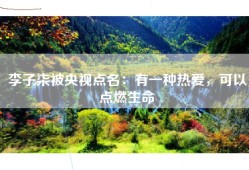 李子柒被央视点名：有一种热爱，可以点燃生命
