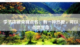 李子柒被央视点名：有一种热爱，可以点燃生命