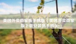 美团外卖商家版手机版（美团外卖商家版下载安装到手机）