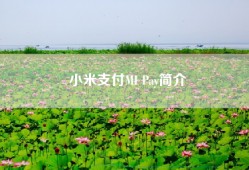 小米支付MI Pay简介