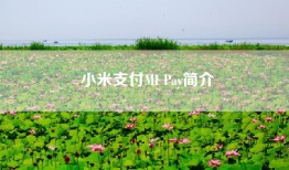 小米支付MI Pay简介