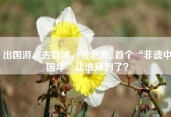 出国游、去县城、带老外...首个“非遗中国年”让谁赚到了？