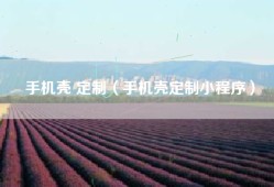手机壳 定制（手机壳定制小程序）