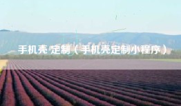 手机壳 定制(手机壳定制小程序)