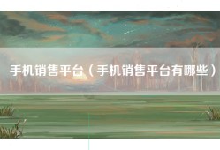 手机销售平台（手机销售平台有哪些）