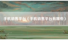 手机销售平台（手机销售平台有哪些）