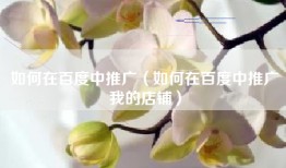 如何在百度中推广（如何在百度中推广我的店铺）