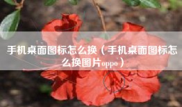 手机桌面图标怎么换（手机桌面图标怎么换图片oppo）